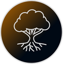 New arbre de vie BTBC2